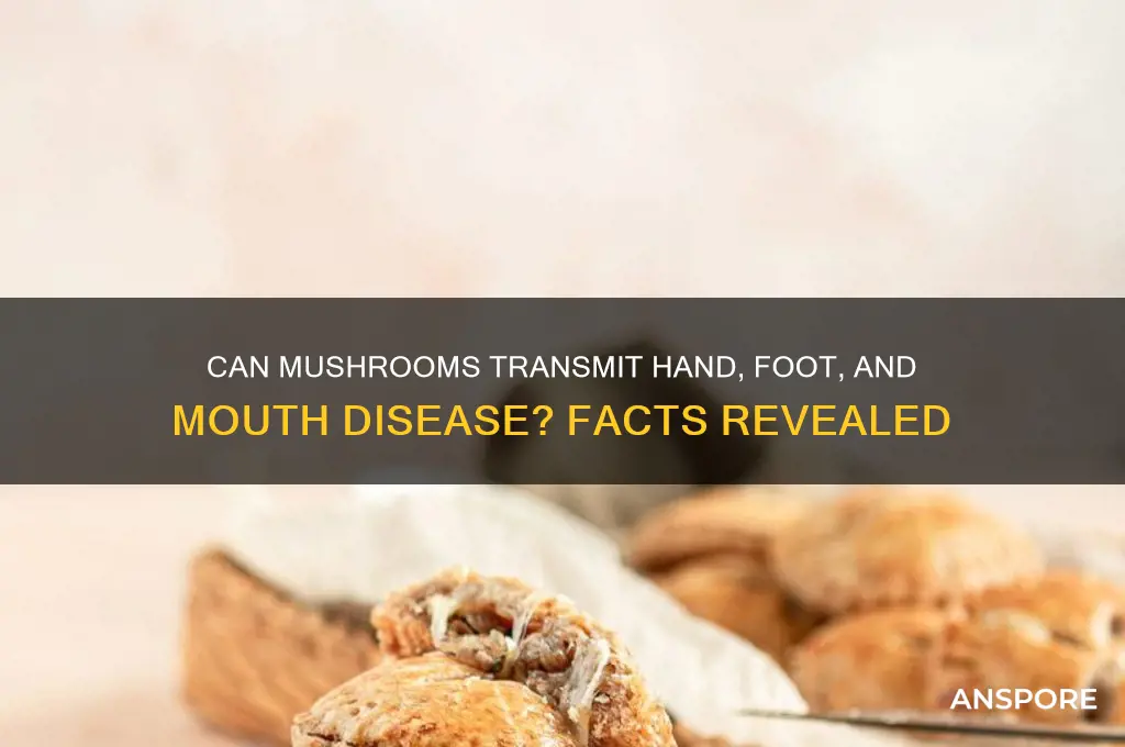 can mushrooms have hand foot and mouth virus