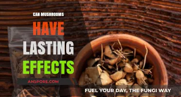 Mushrooms' Lasting Effects: Unveiling Long-Term Impacts on Mind and Body