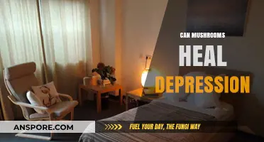 Mushrooms and Mental Health: Exploring Psilocybin's Potential to Heal Depression