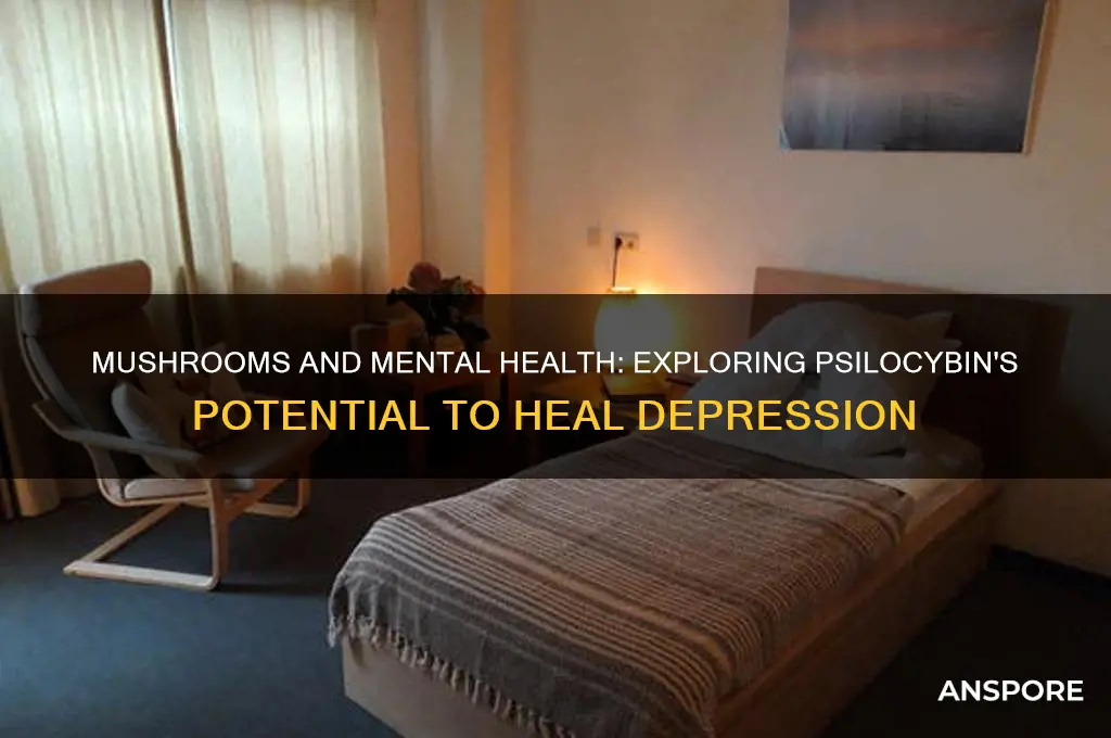 can mushrooms heal depression