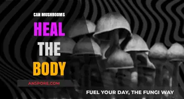 Mushrooms' Healing Powers: Unlocking Nature's Remedies for Body Wellness