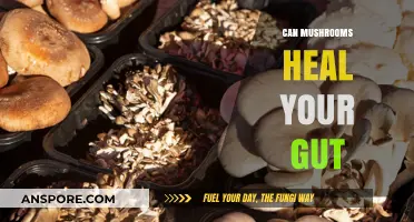Mushrooms and Gut Health: Unlocking Healing Potential for a Healthy Digestive System