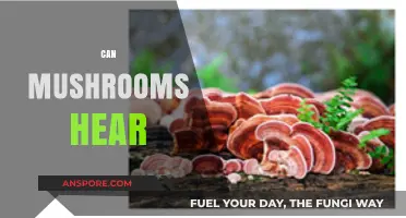 Can Mushrooms Hear? Exploring Fungi's Sensory Abilities and Communication