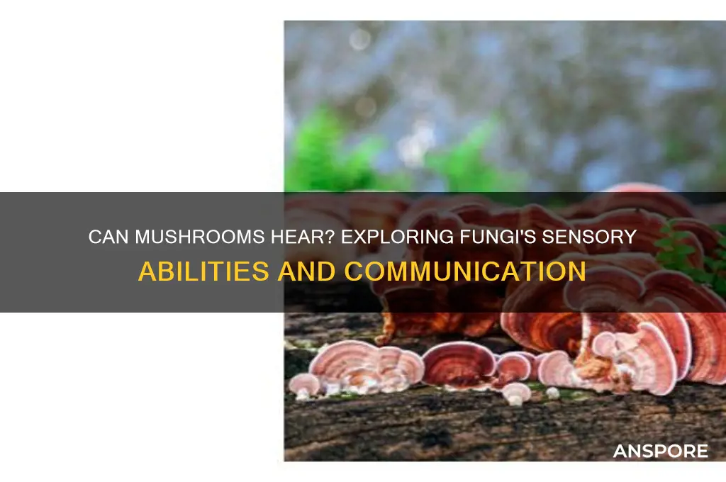can mushrooms hear