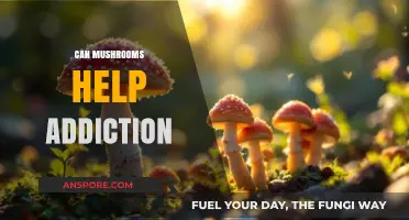 Mushrooms and Addiction: Exploring Psilocybin's Potential for Recovery