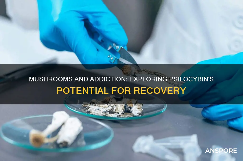 can mushrooms help addiction