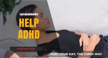 Exploring Mushrooms' Potential Benefits for Managing ADHD Symptoms Naturally