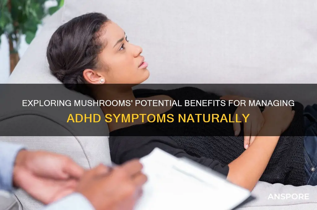 can mushrooms help adhd