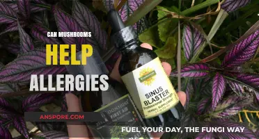 Mushrooms and Allergies: Exploring Nature's Potential Remedies for Relief