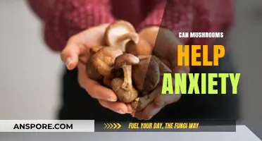 Mushrooms and Anxiety: Exploring Nature's Potential for Calming Relief