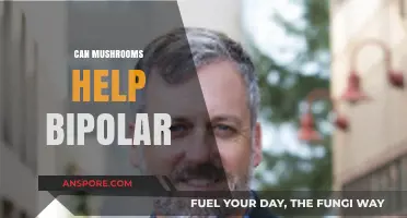 Exploring Mushrooms' Potential Role in Managing Bipolar Disorder Symptoms