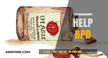 Exploring the Potential of Mushrooms in Supporting BPD Management