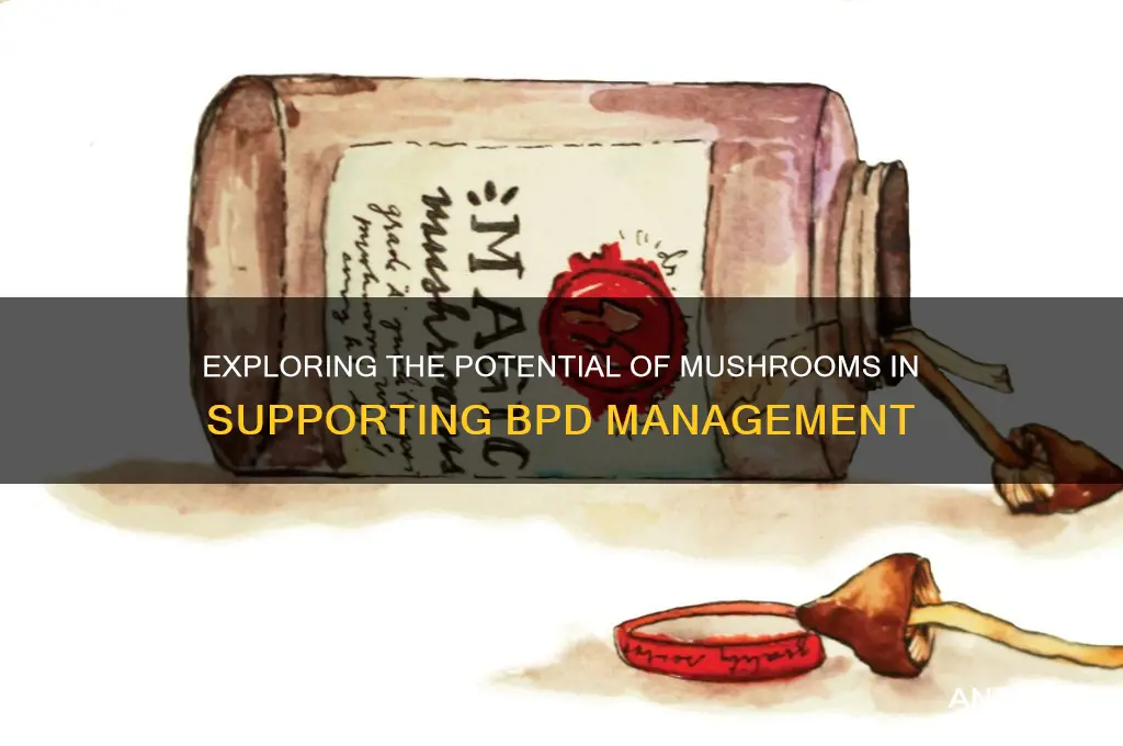can mushrooms help bpd