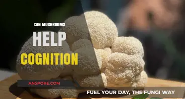 Mushrooms and Mind Power: Enhancing Cognitive Function Naturally