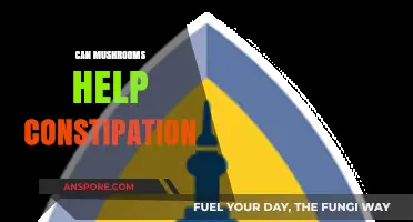 Mushrooms for Constipation Relief: Natural Solution or Myth?