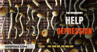 Exploring Mushrooms' Potential Role in Alleviating Depression Symptoms