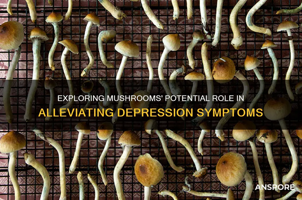 can mushrooms help depression
