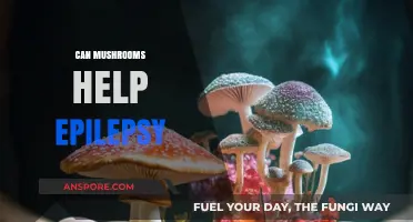 Exploring Mushrooms' Potential Role in Managing Epilepsy Symptoms