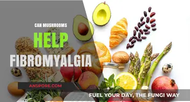 Mushrooms and Fibromyalgia: Exploring Natural Relief for Chronic Pain