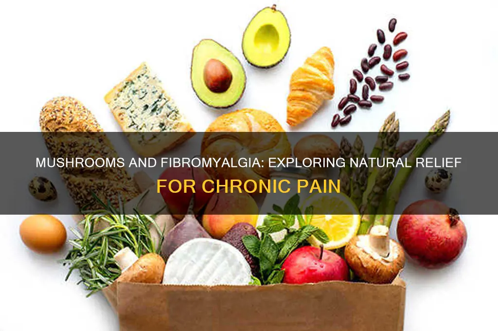 can mushrooms help fibromyalgia