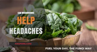 Mushrooms for Migraines: Natural Headache Relief Explored