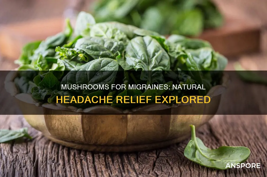 can mushrooms help headaches