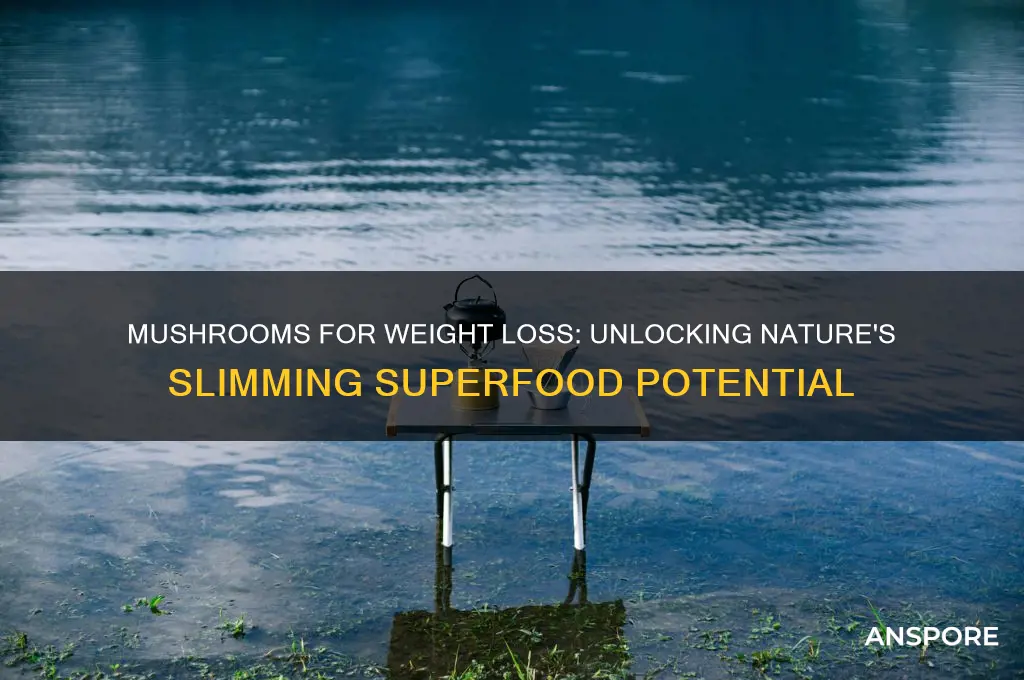 can mushrooms help lose weight