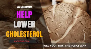 Mushrooms and Cholesterol: Unlocking Heart-Healthy Benefits Naturally
