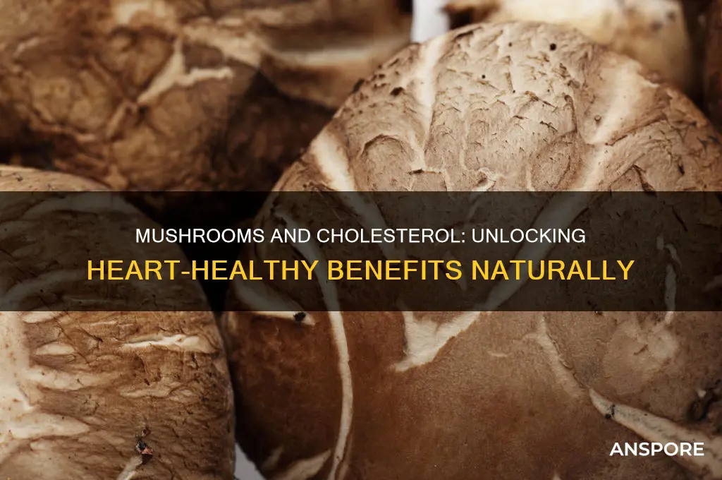 can mushrooms help lower cholesterol
