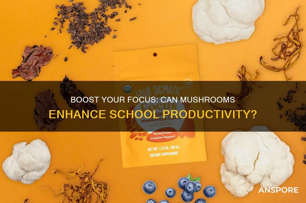 can mushrooms help me focus for school