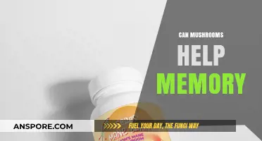 Boost Your Memory: Exploring Mushrooms' Potential Cognitive Benefits
