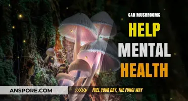Mushrooms and Mental Health: Unlocking Nature's Potential for Well-Being