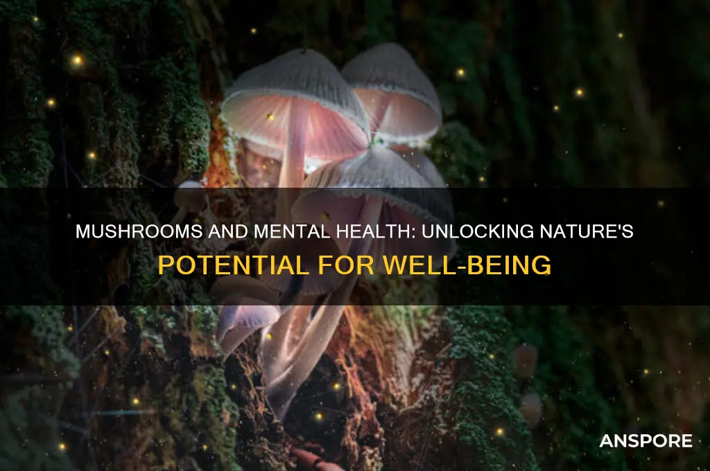 can mushrooms help mental health