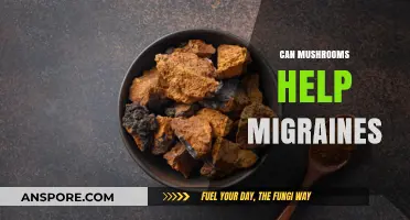 Mushrooms and Migraines: Exploring Natural Remedies for Headache Relief