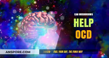 Exploring the Potential of Mushrooms in Managing OCD Symptoms
