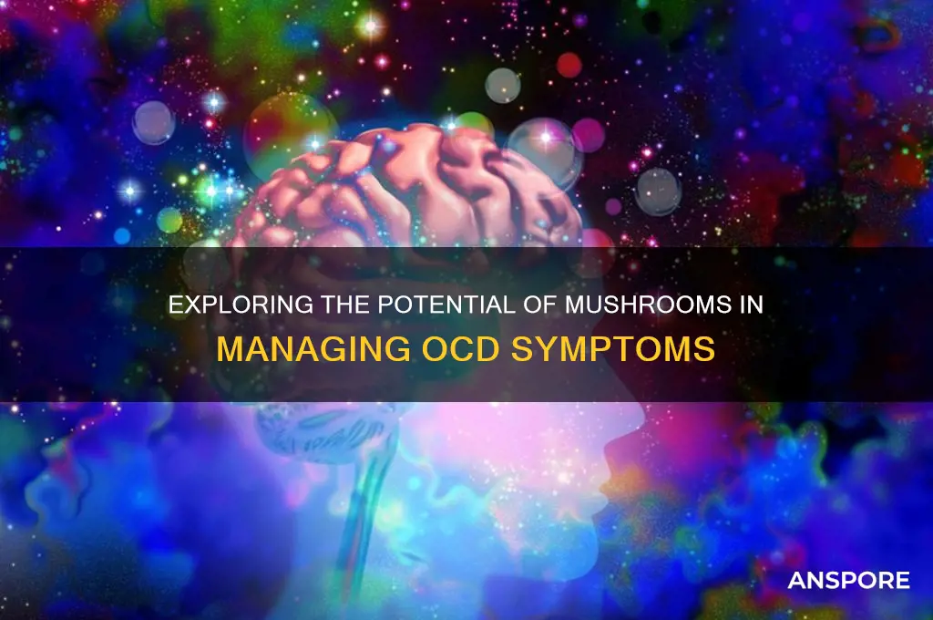 can mushrooms help ocd