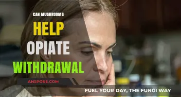 Mushrooms as a Natural Aid for Opiate Withdrawal Symptoms
