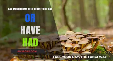 Mushrooms' Healing Potential: Supporting Recovery for Those Who've Had Health Challenges