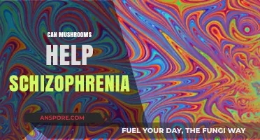 Exploring Mushrooms' Potential Role in Schizophrenia Treatment and Management