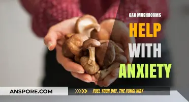 Exploring Mushrooms' Potential: Natural Anxiety Relief Through Fungal Remedies