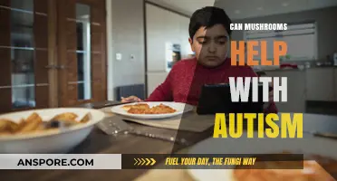 Exploring the Potential of Mushrooms in Supporting Autism Management