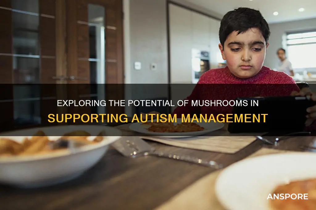 can mushrooms help with autism