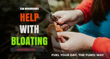 Mushrooms for Bloating Relief: Natural Solutions to Ease Discomfort