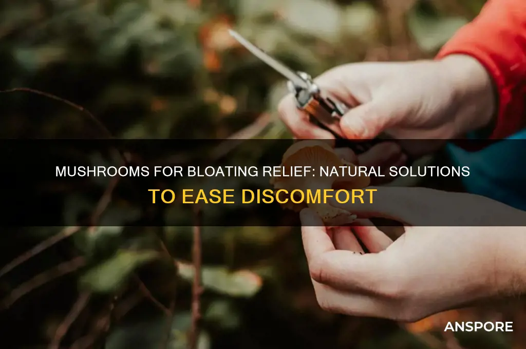 can mushrooms help with bloating