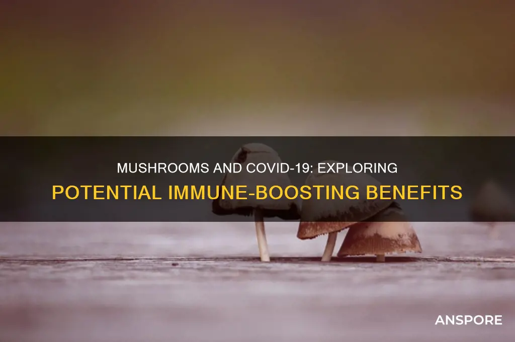can mushrooms help with covid