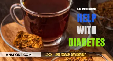 Mushrooms and Diabetes: Exploring Their Potential Role in Blood Sugar Control