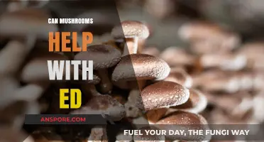Mushrooms and ED: Exploring Natural Remedies for Erectile Dysfunction