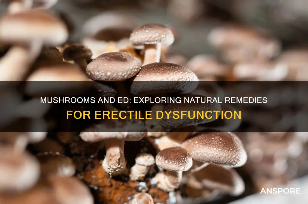 can mushrooms help with ed