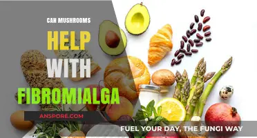 Exploring Mushrooms' Potential Benefits for Fibromyalgia Relief and Management