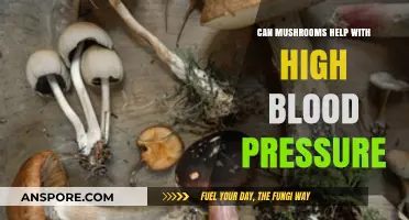 Mushrooms and Hypertension: Natural Remedies for Lowering Blood Pressure